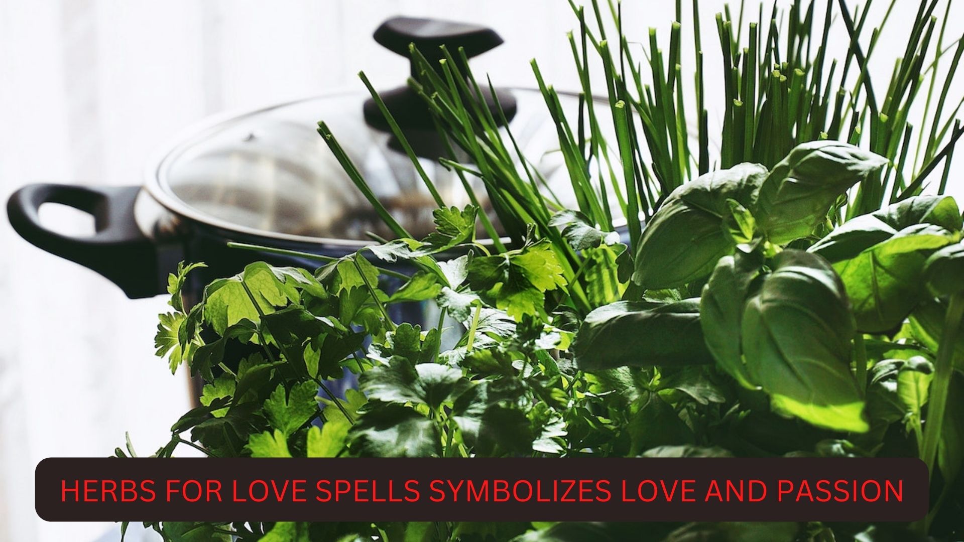 Herbs For Love Spells Symbolism - Love And Passion