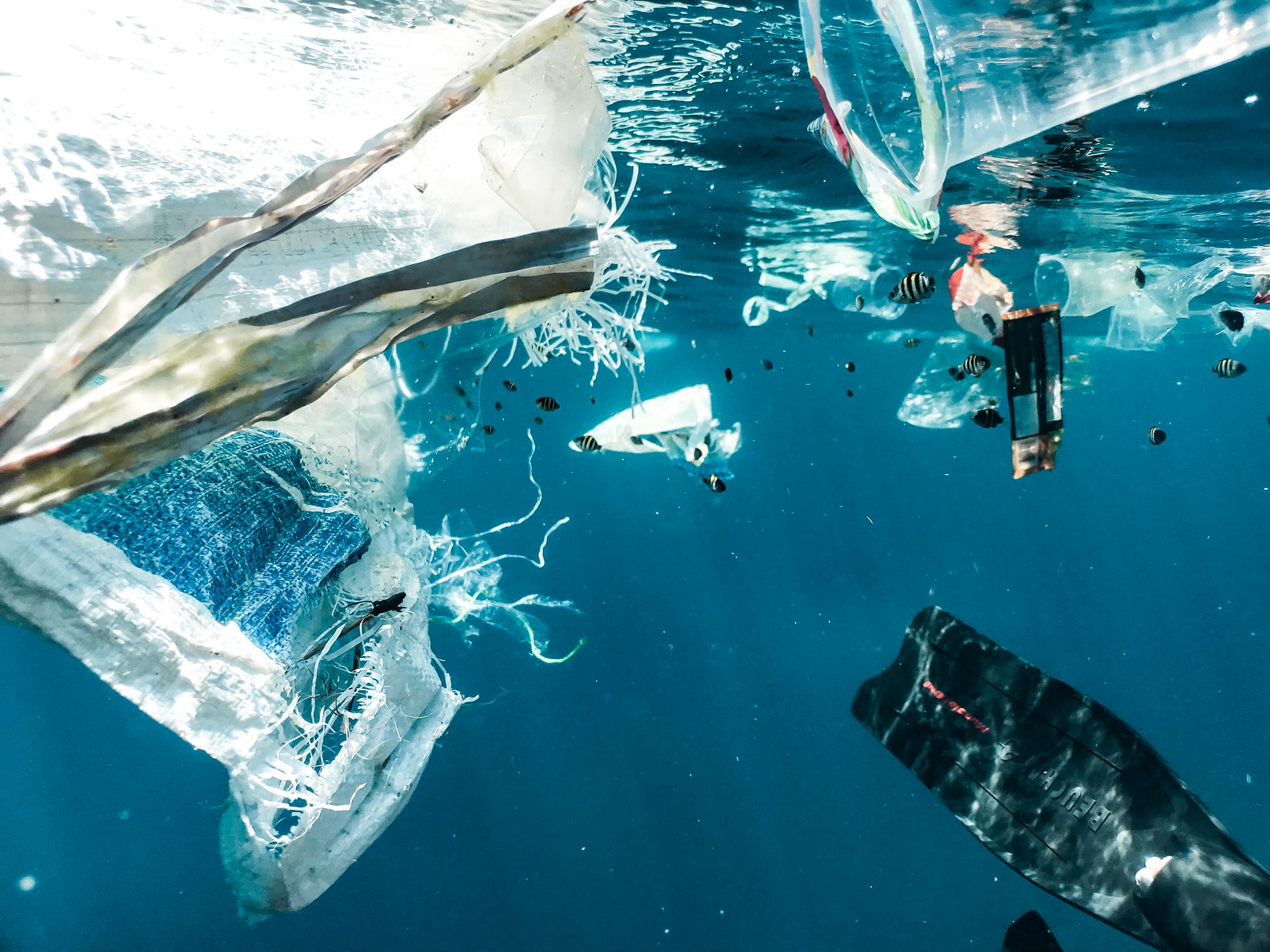 Plastic, bags, light bulbs, and many ther debris deep in sea waters