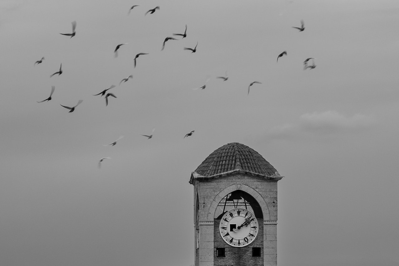 Birds Flying over Clock Tower in Grayscale