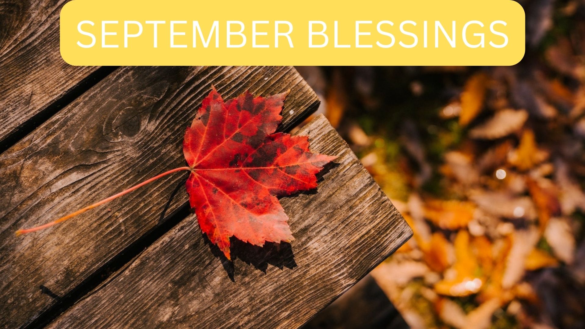 September Blessings - Over Yourself And Your Loved Ones