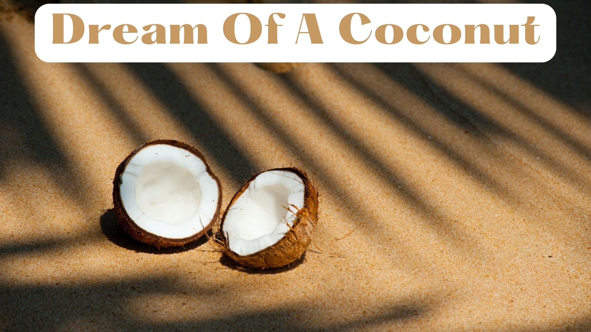 Dream Of A Coconut - Indicate Prosperity, Abundance, And Success