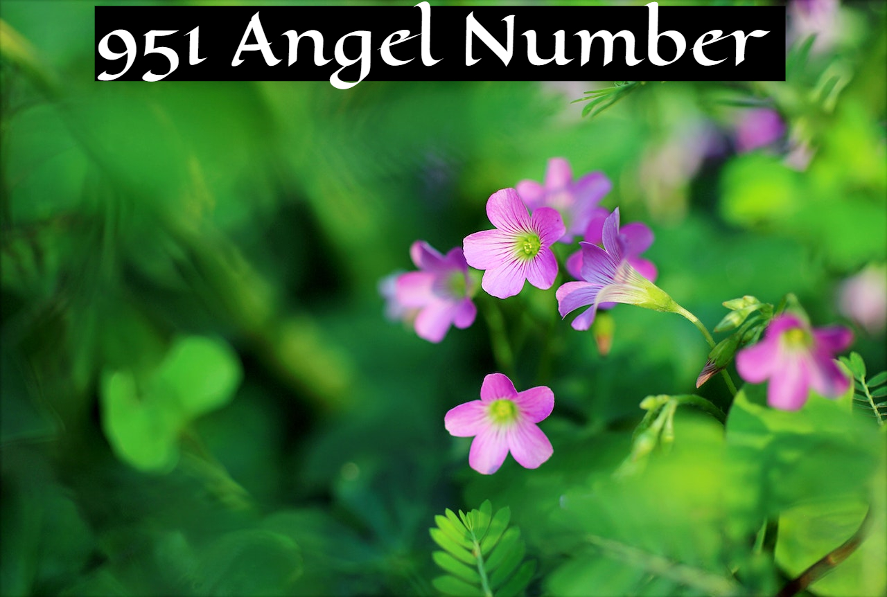 951 Angel Number Meaning - New Beginnings, Redemption, And Mental Stability