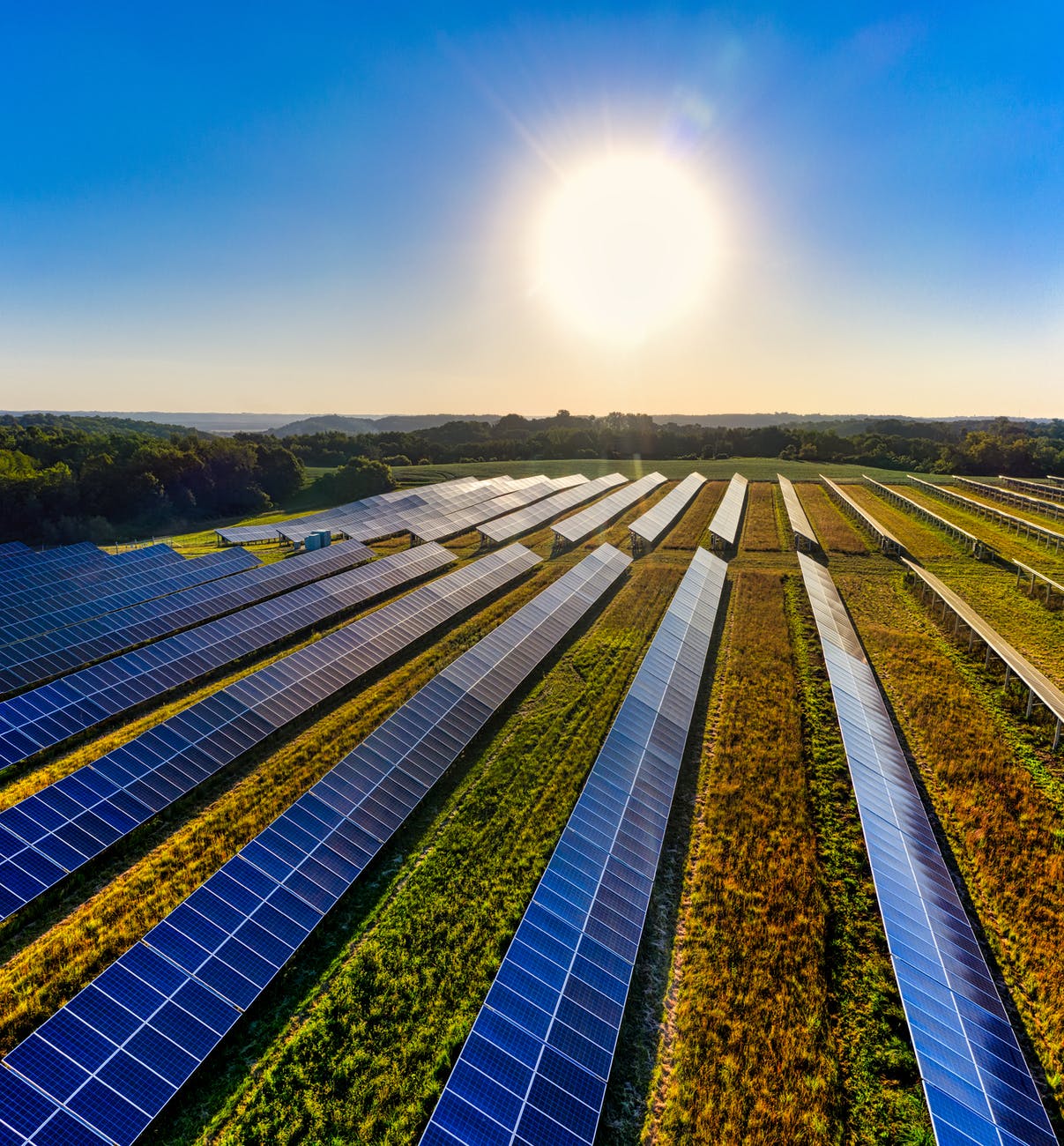 Solar Power Industry Uses Robots That Build Solar Farms