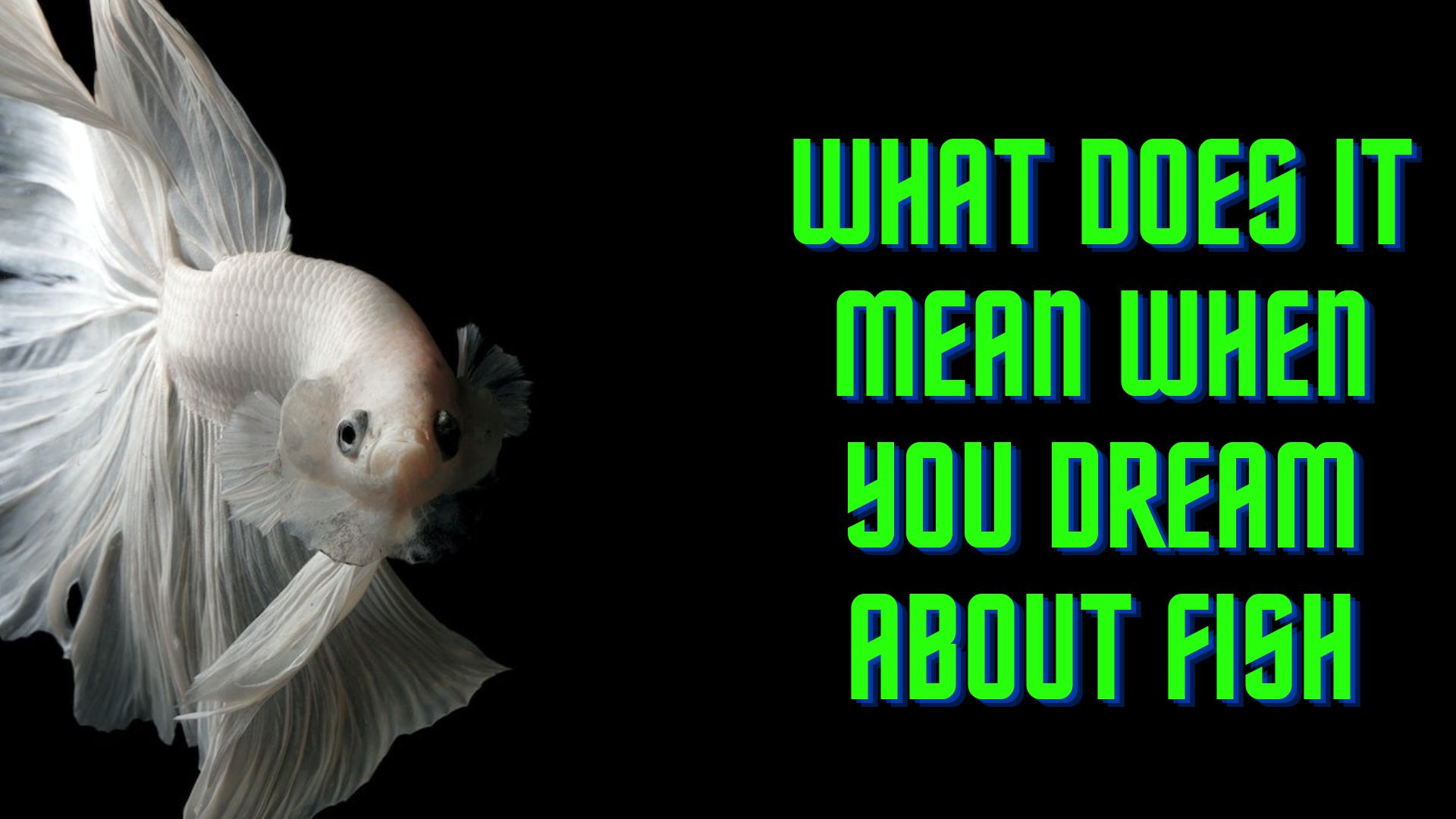 What Does It Mean When You Dream About Fish?