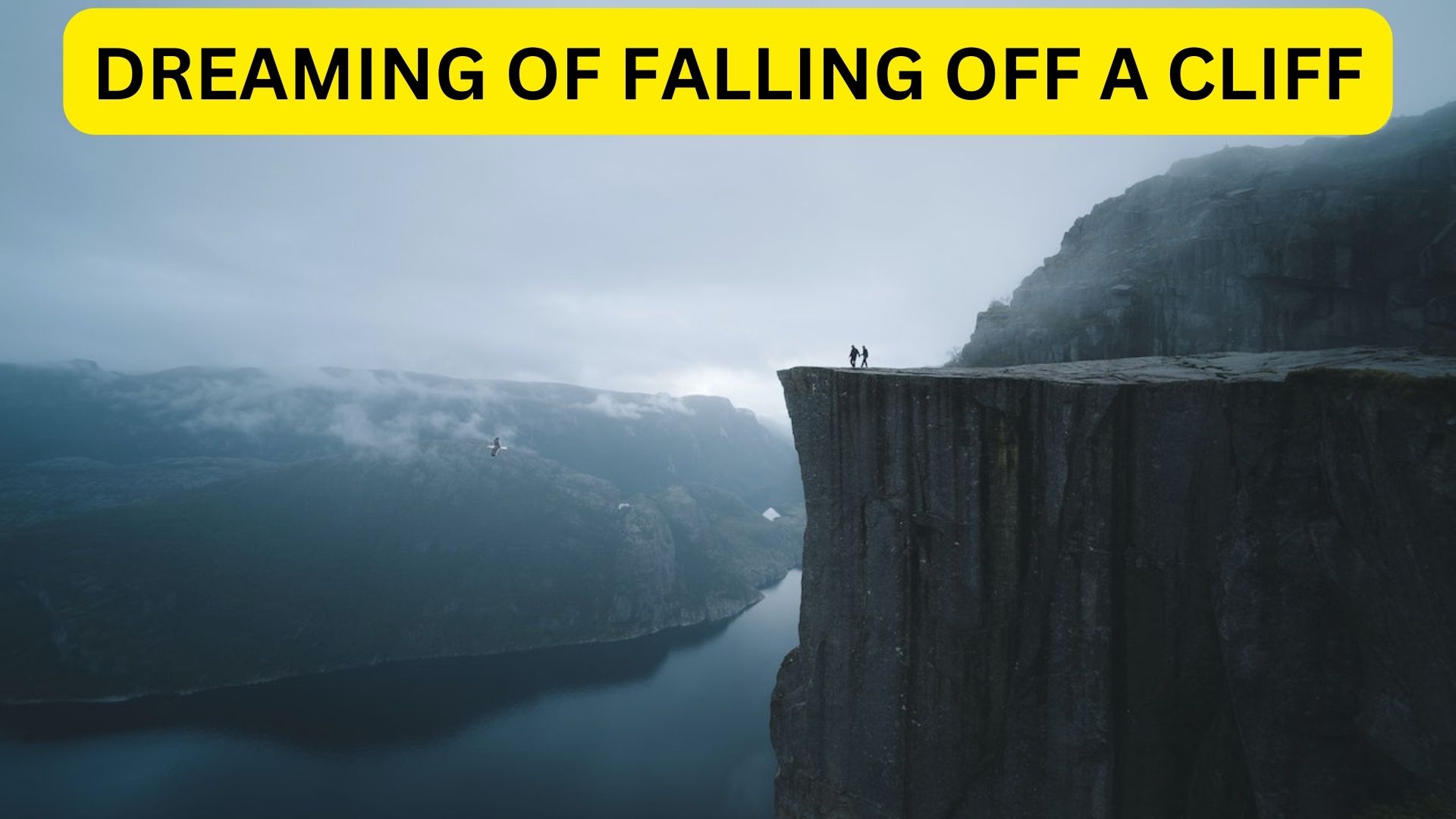 Dreaming Of Falling Off A Cliff - Represents A Forced Change