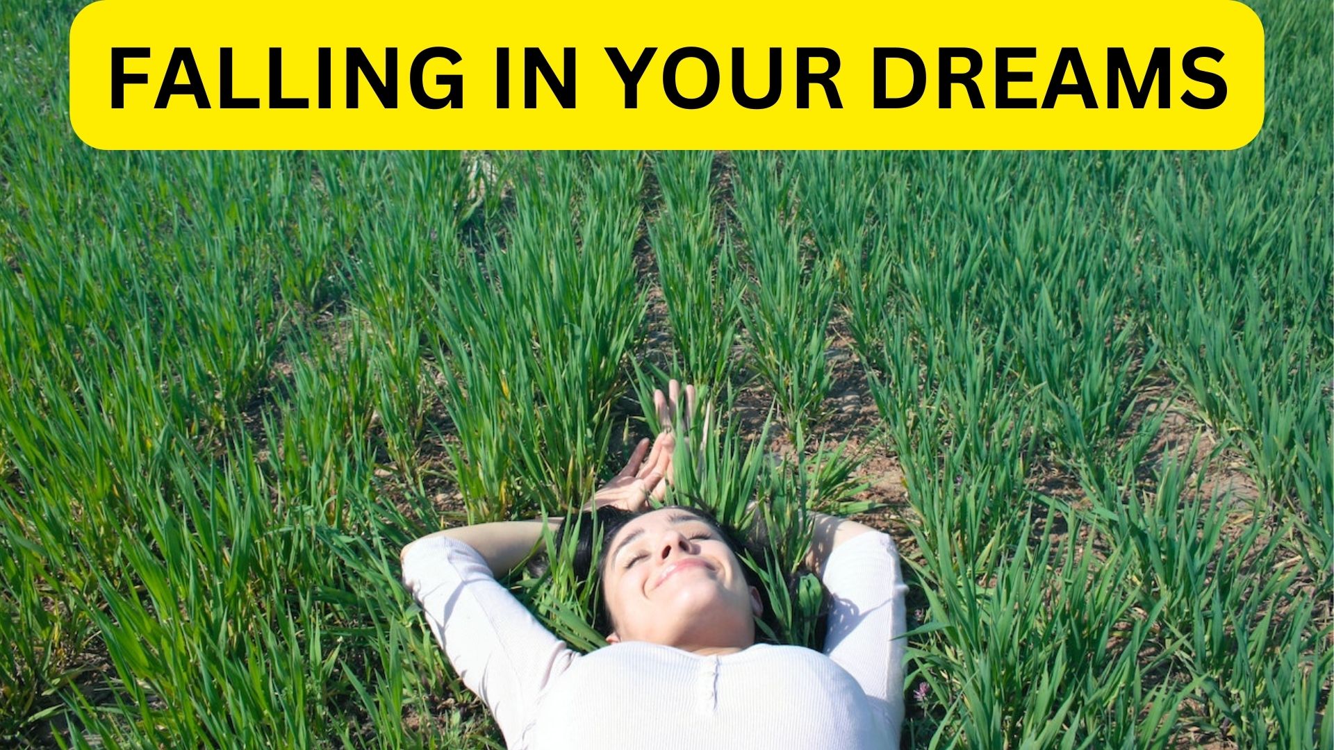 Falling In Your Dreams - Reflect Feelings Of Fear, Anxiety, Or Betrayal