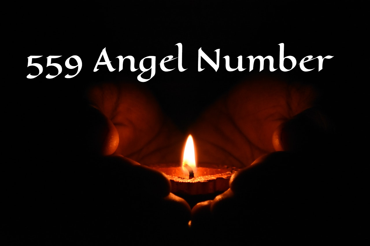 559 Angel Number - Align You With Your True Life Purpose