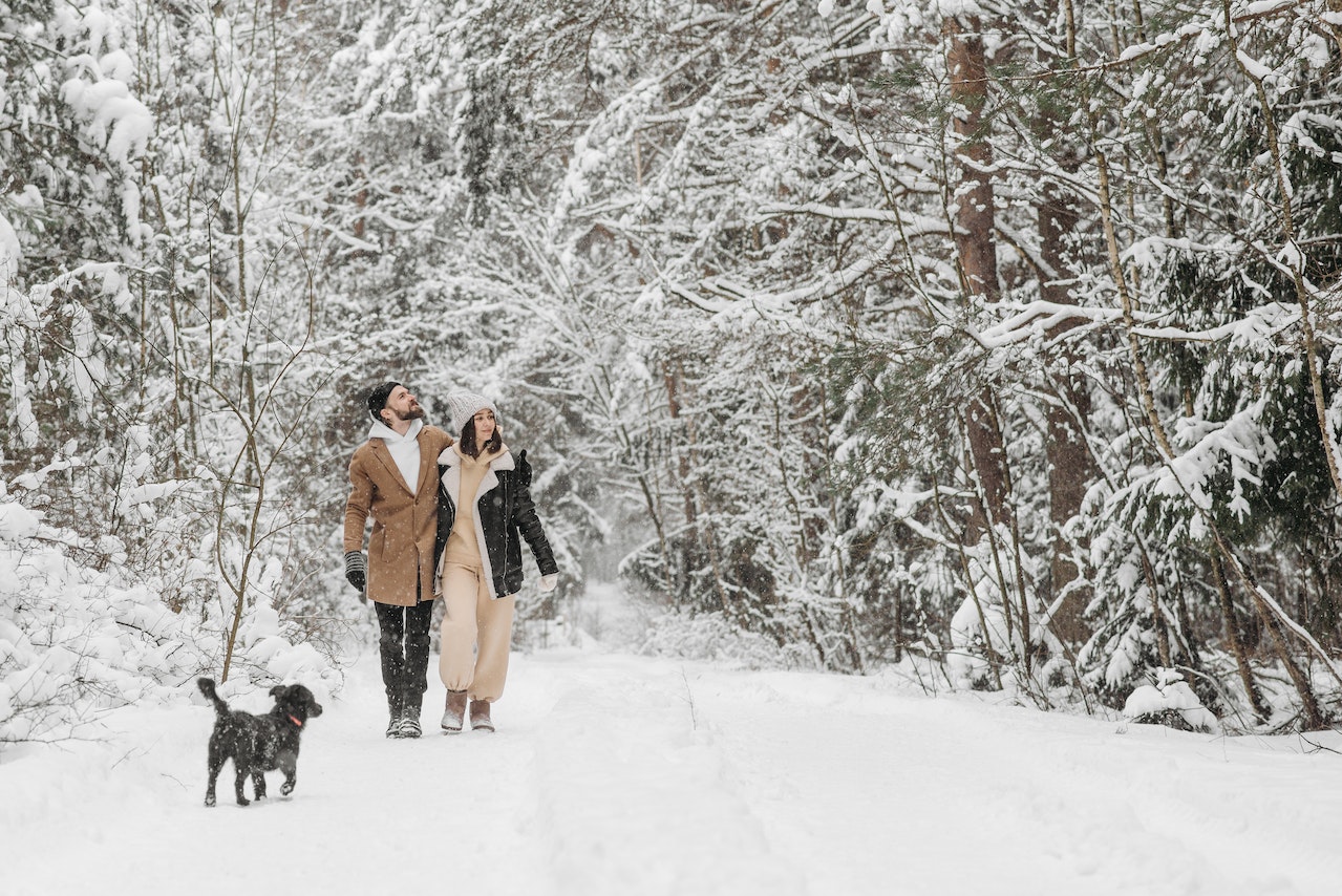 A Couple Walking in a Forest Covered with Snow