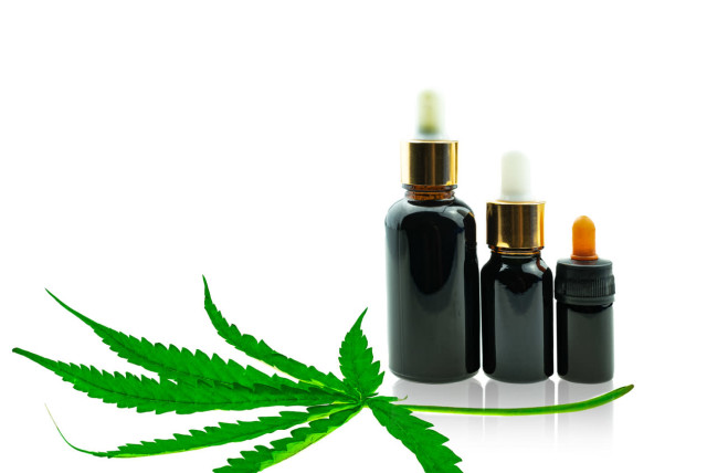 Three different sizes of CBD oil tinctures with a CBD leaf by their side
