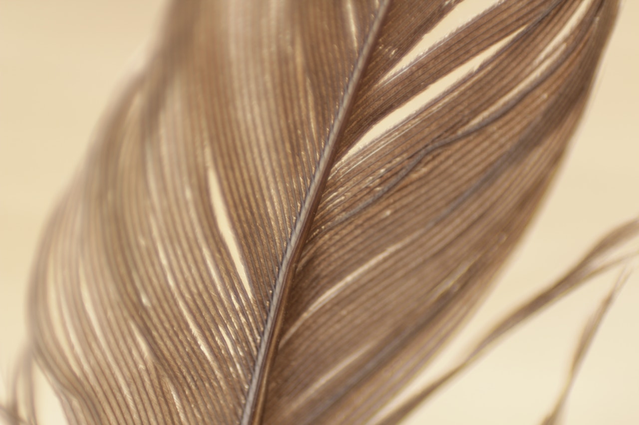Feather Spiritual Meaning - Understanding The Symbolism And Significance Of Feathers