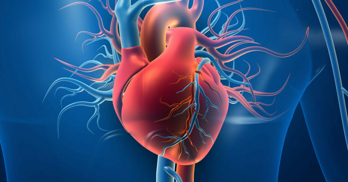 Cardiovascular Disease - The Effects And Benefits Of Exercise