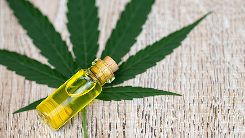A closed bottle of CBD oil laying on a cannabis leaf