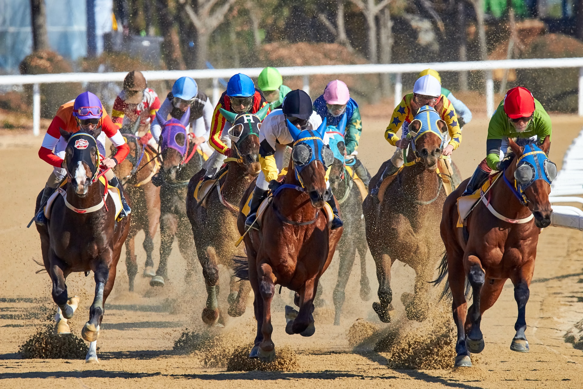 Trifecta Horse Race - An Exciting Betting Opportunity
