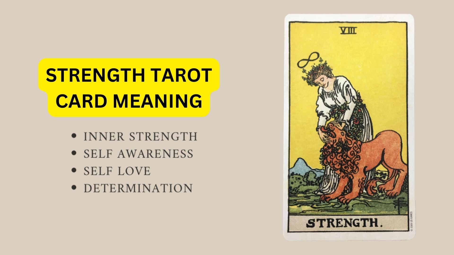 Strength Tarot Card Meaning - Major Arcana