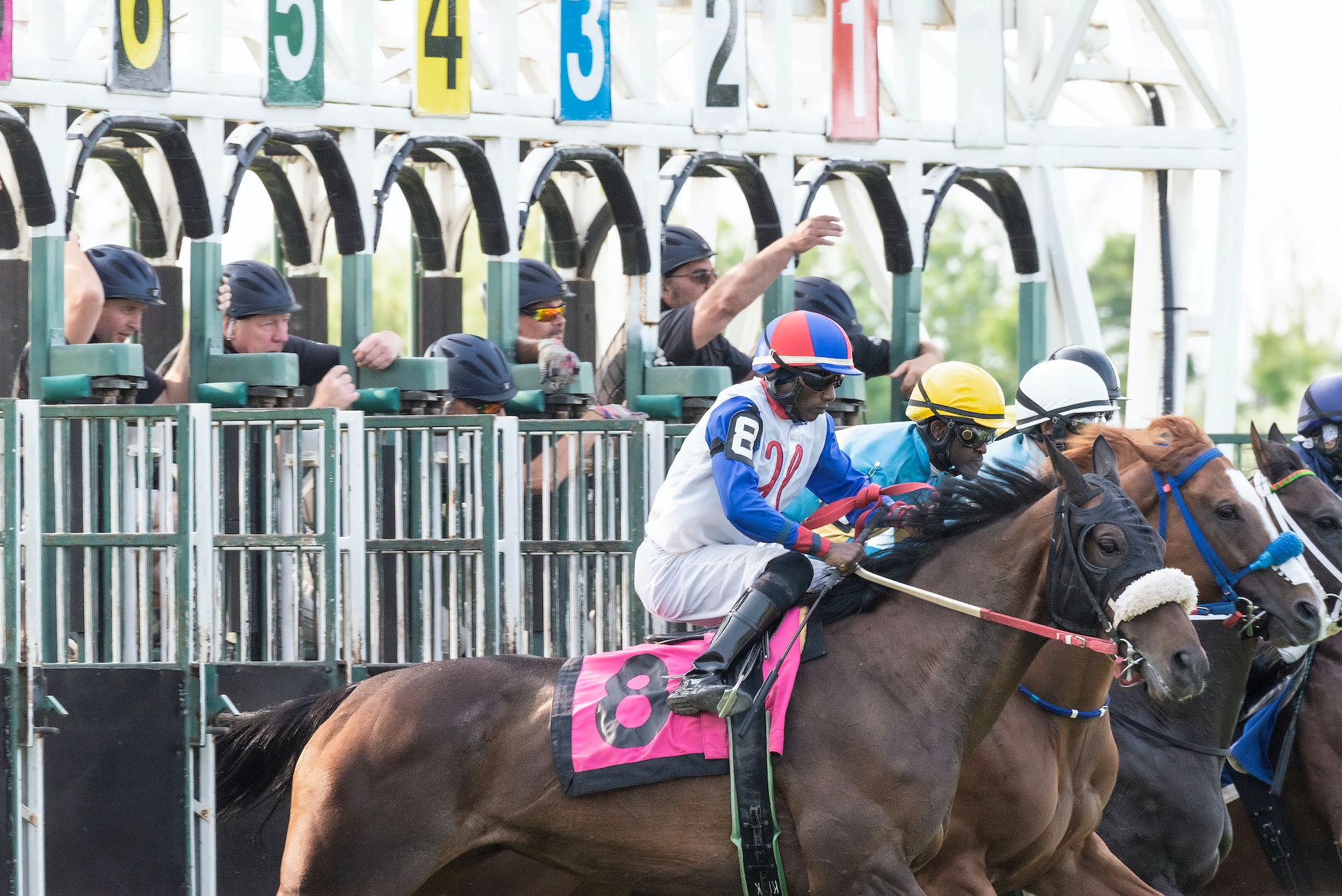 What Is A Place Bet In Horse Racing? Understanding The Basics