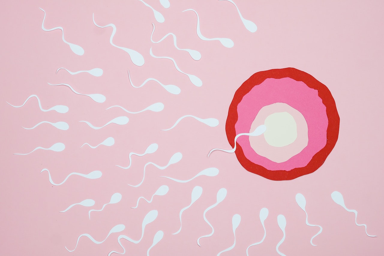 What Does It Mean To Dream Of Sperm?
