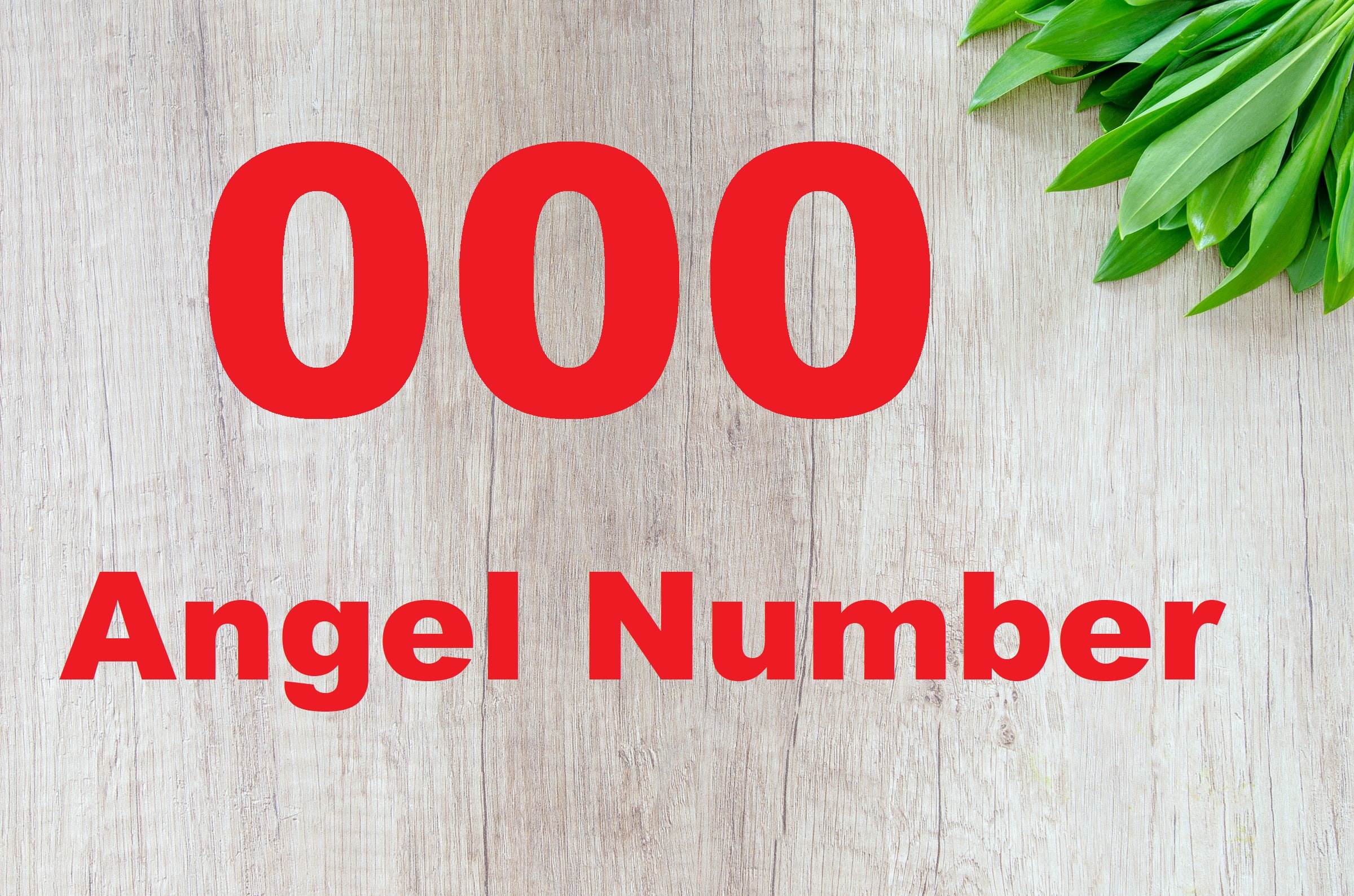 000 Angel Number Meaning - Protection, Rest, And Perfection