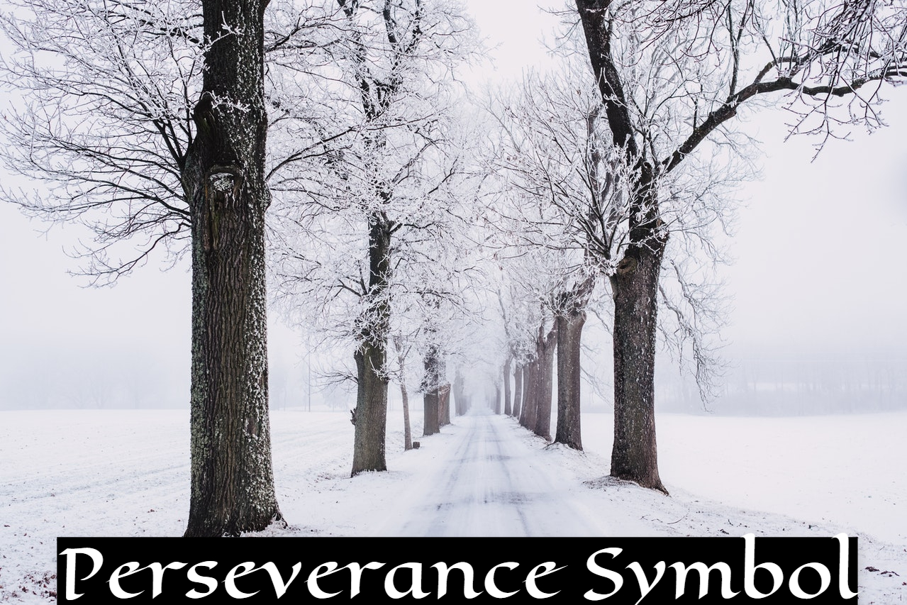 Perseverance Symbol Meaning - Fearlessness