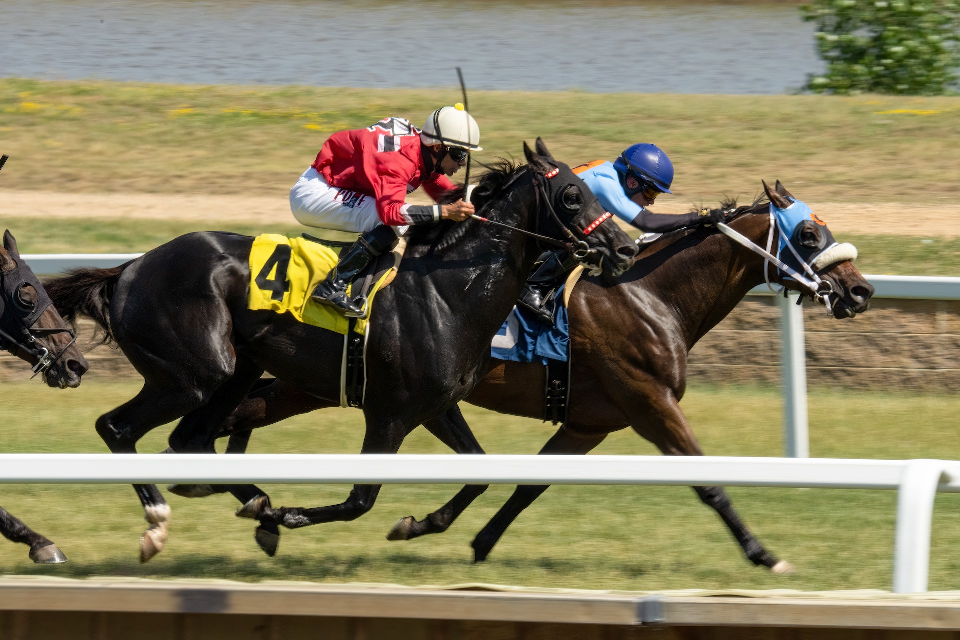 Why Hiring A Professional Horse Handicapper Is The Key To Successful Betting