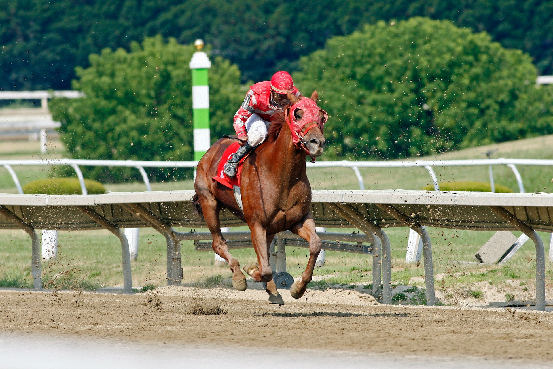 What Is Pick 3 In Horse Racing? Maximize Your Chances Of Winning Big!