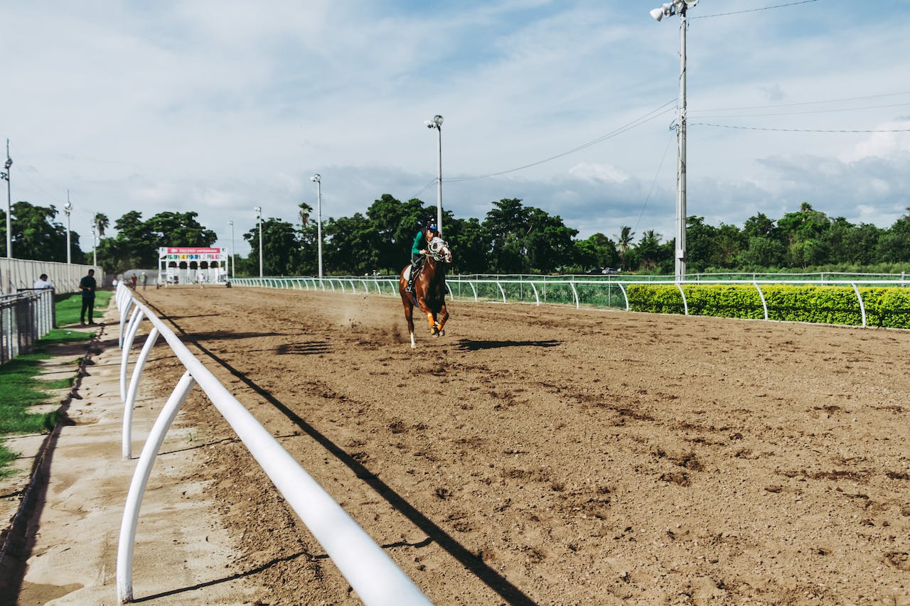 A horse with rider is running on a racing track.