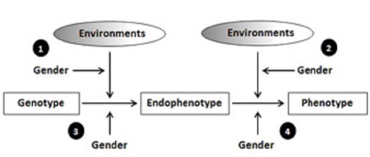 The word “environments” in two ellipses and three different words inside three rectangles connected by arrows