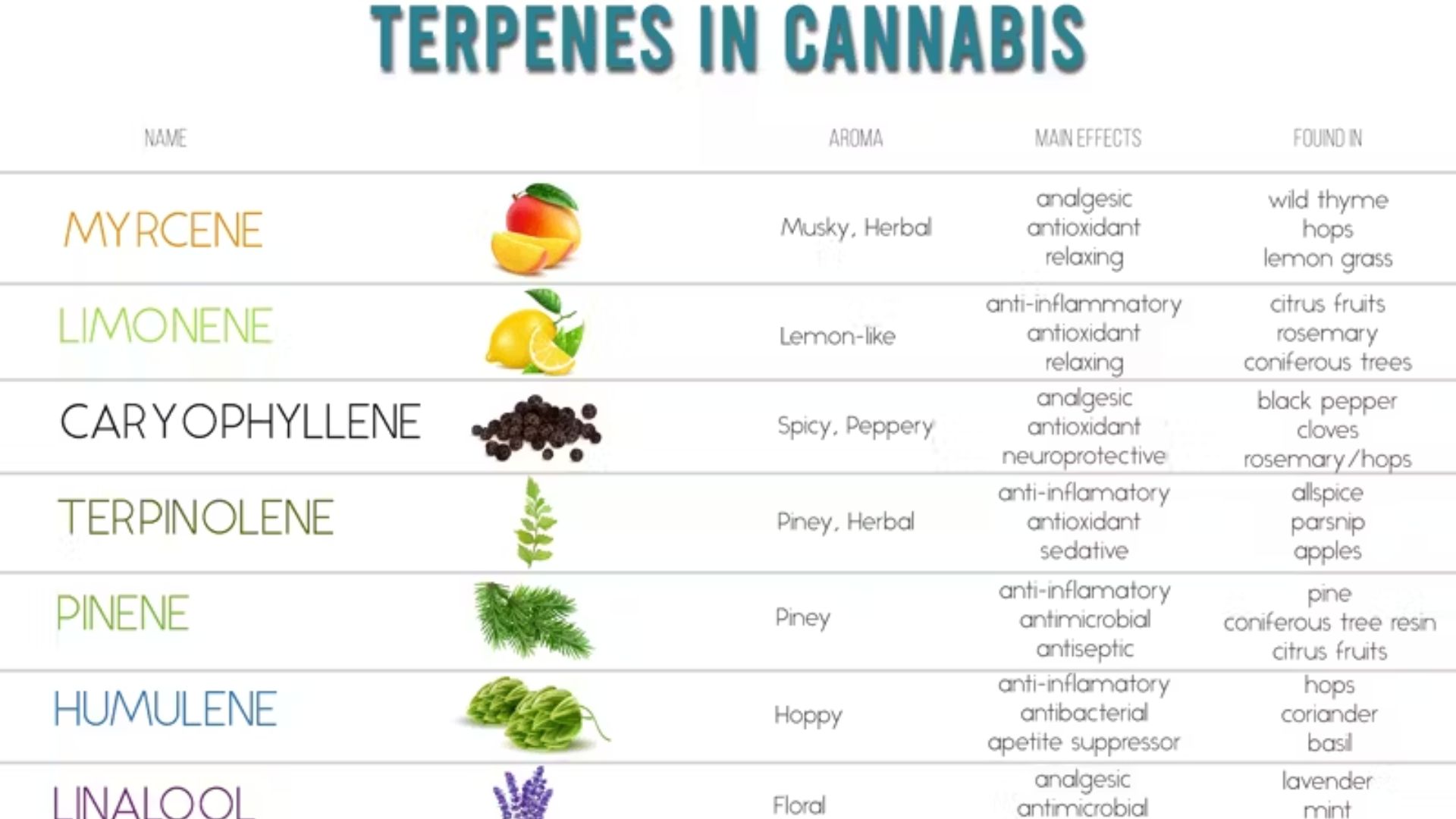  Terpenes In Cannabis