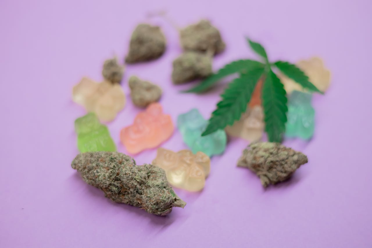 Close-Up of Cannabis Bud