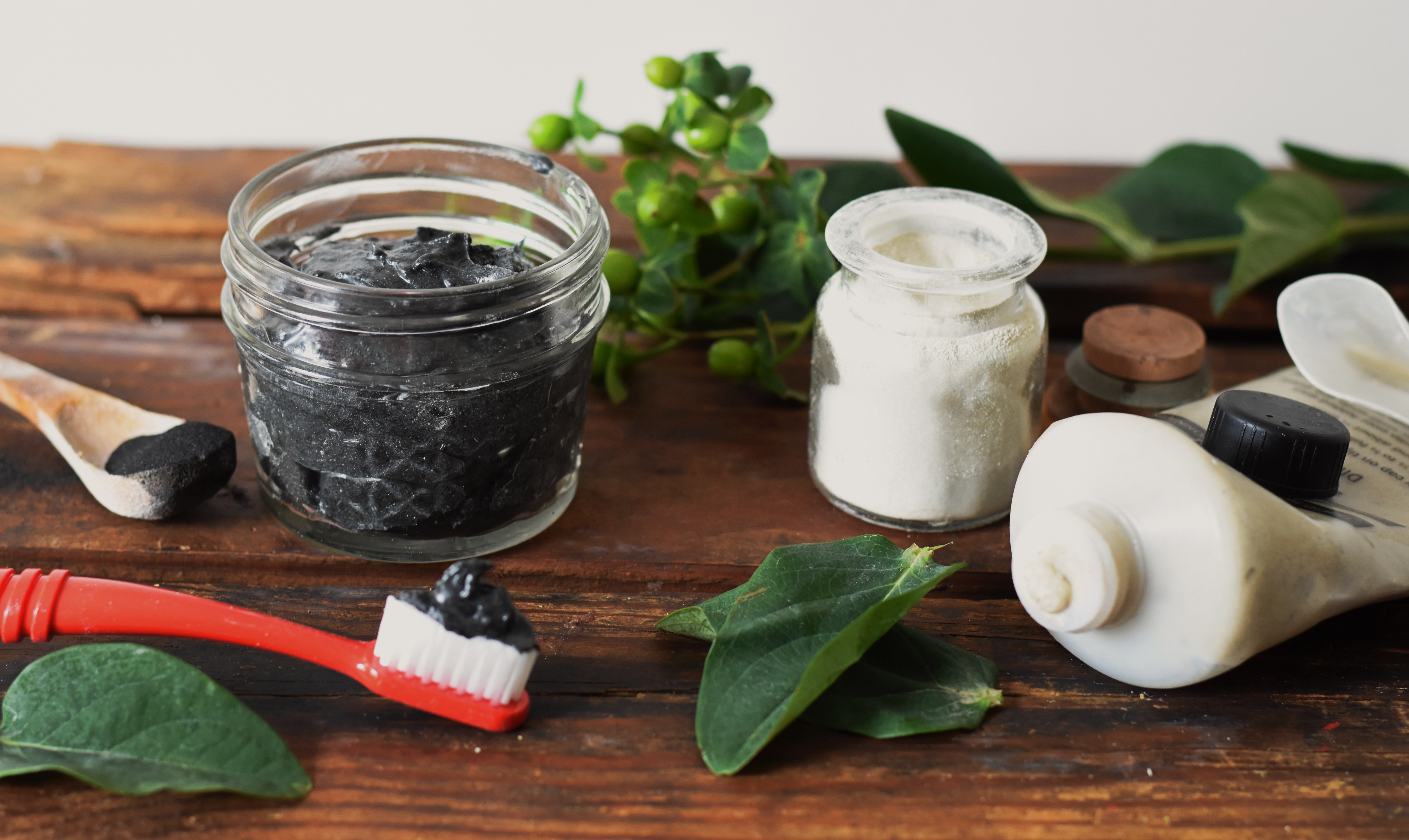 Homemade Plant Toothpaste