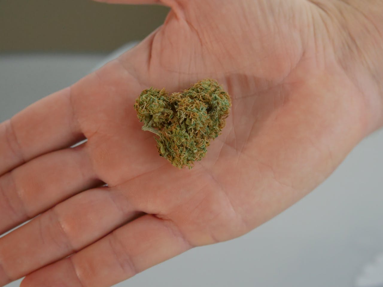 Kush on a Person's Palm